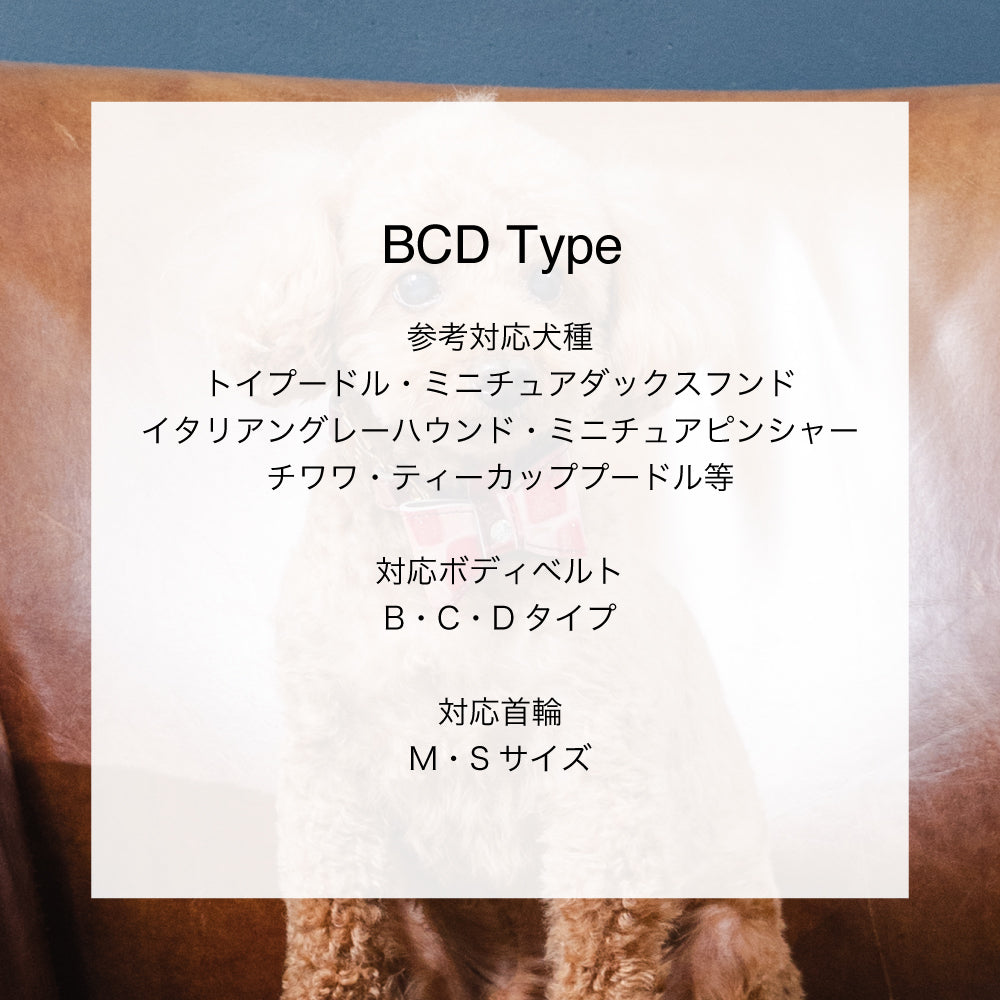 リード BCDタイプ 2023限定モデル タイル