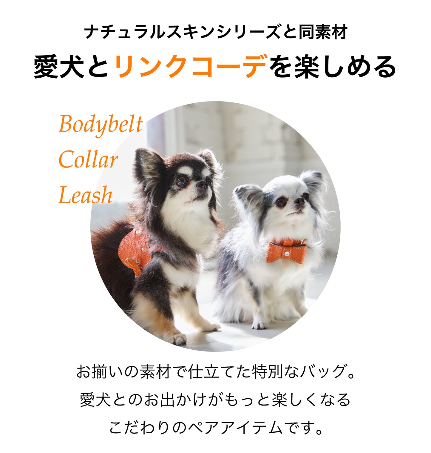 【予約商品 7月上旬発送】Paolo ウォレット機能付き本革スマホショルダー ナチュラルスキン BAGSDP001