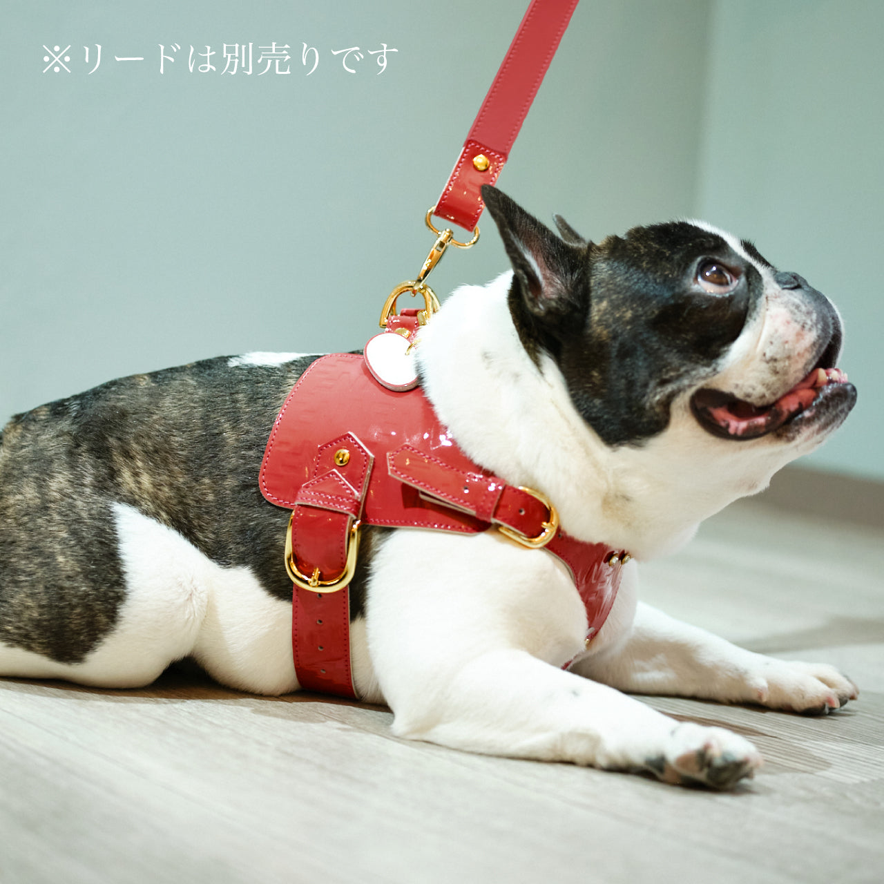 ボディベルト Aタイプ ジュエリーエンボス