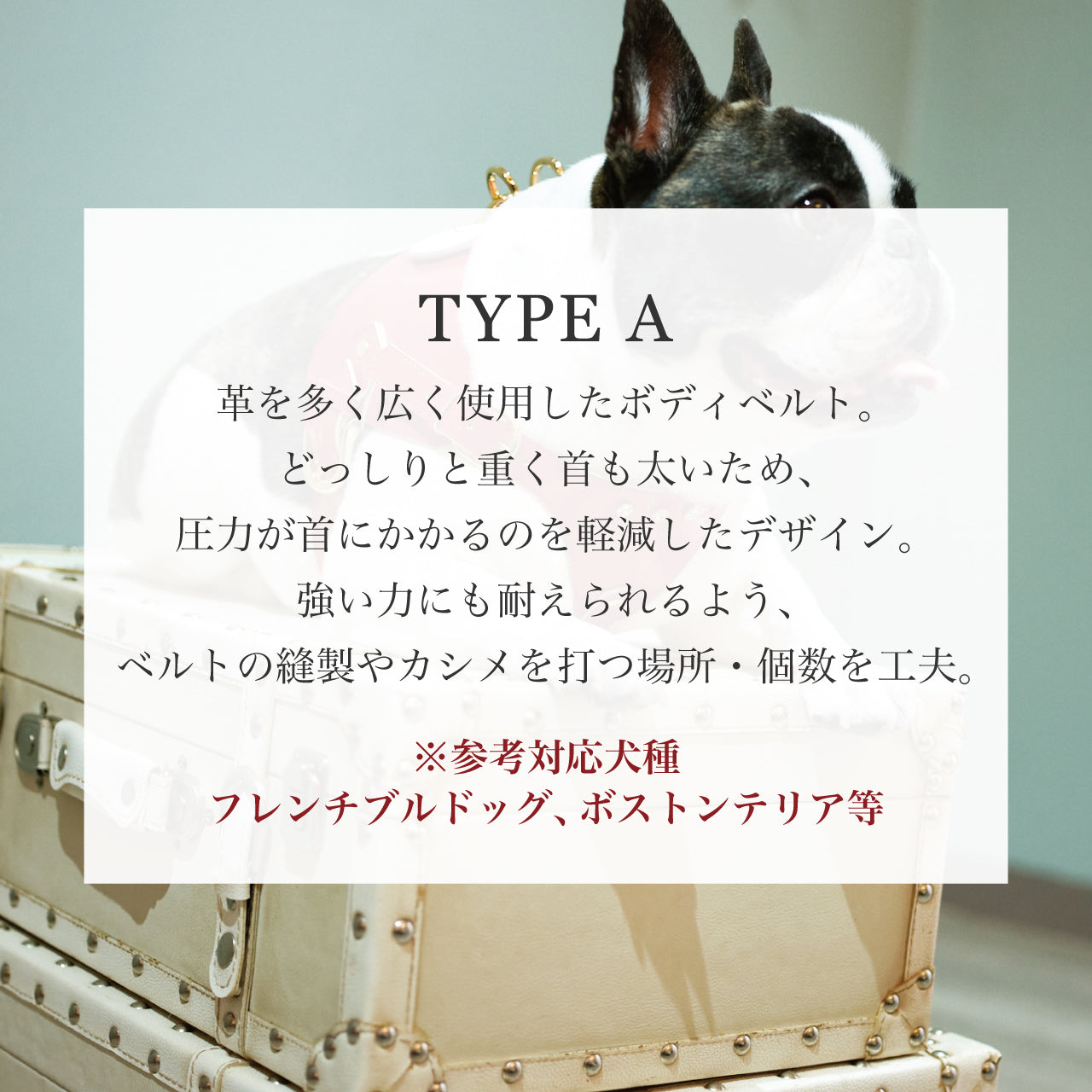 ボディベルト Aタイプ ジュエリーエンボス