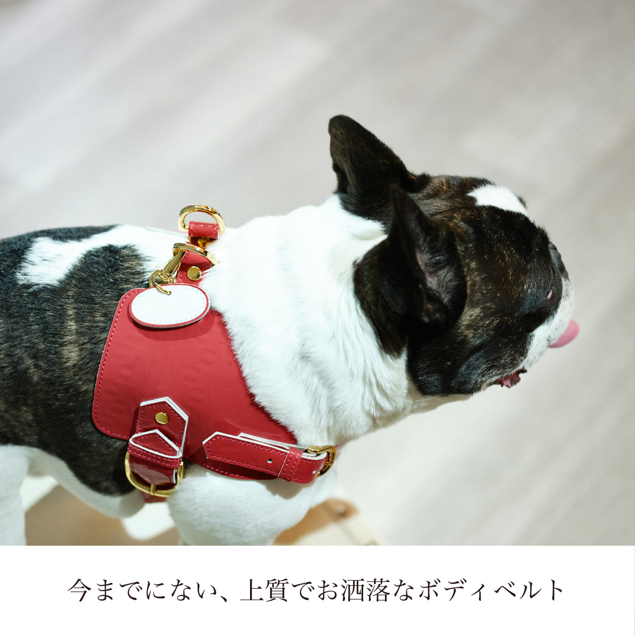 ボディベルト Aタイプ ジュエリーエンボス