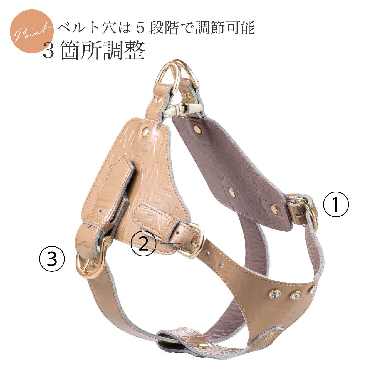 ボディベルト Aタイプ ジュエリーエンボス