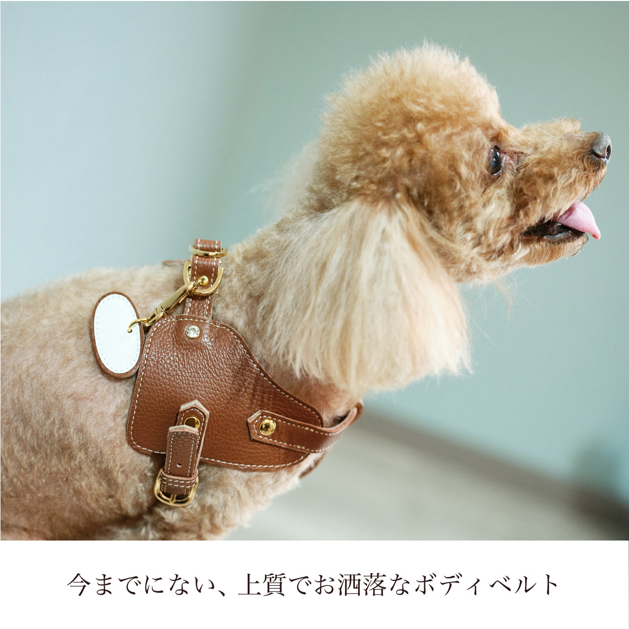 ボディベルト Bタイプ ナチュラルスキン