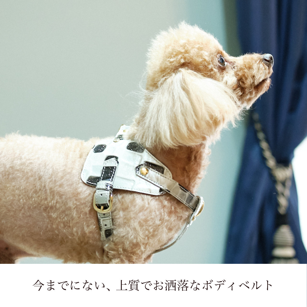 ボディベルト Bタイプ 2022限定モデル タイル