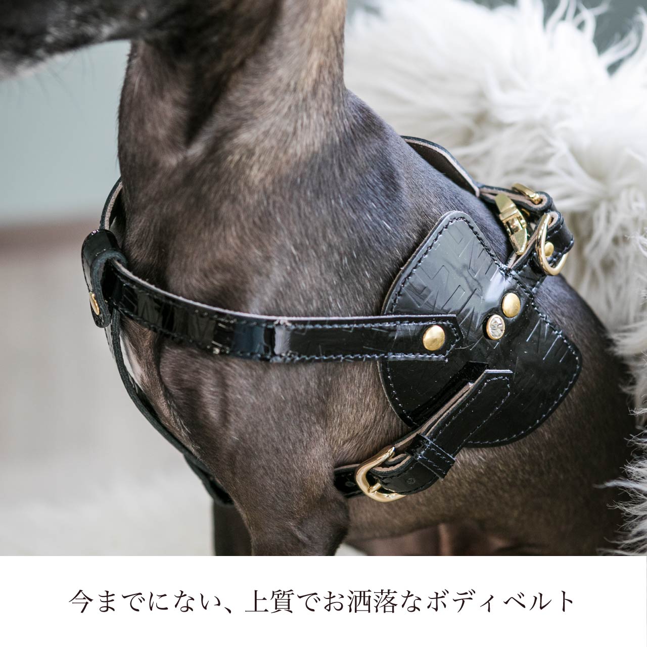 ボディベルト Cタイプ ジュエリーエンボス