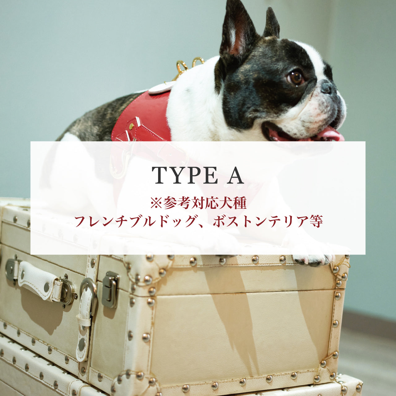 リード Aタイプ ジュエリーエンボス