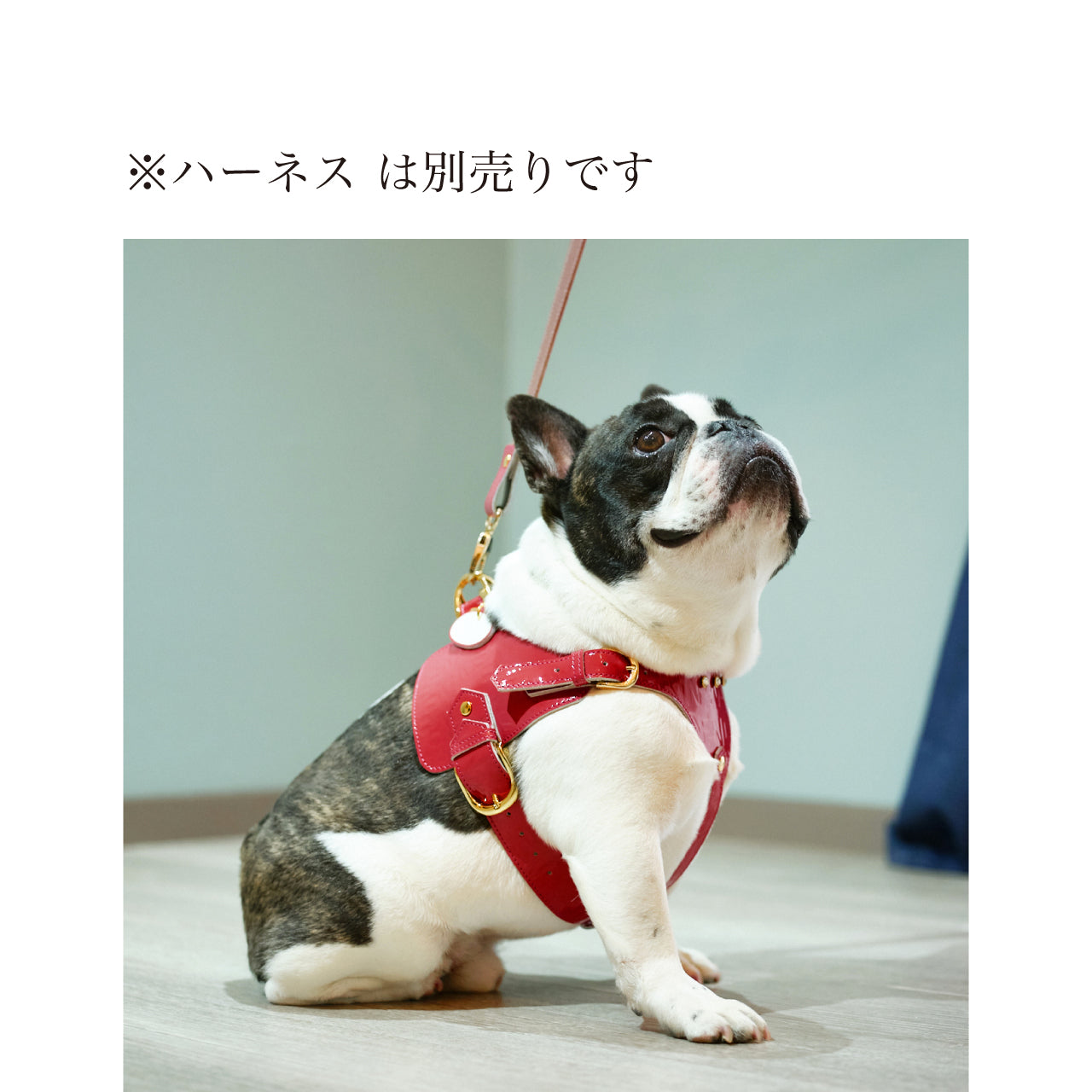 リード Aタイプ ジュエリーエンボス