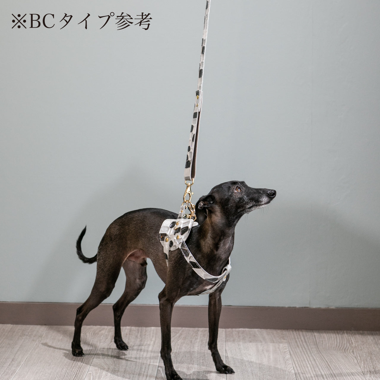 リード Aタイプ 2022限定モデル タイル