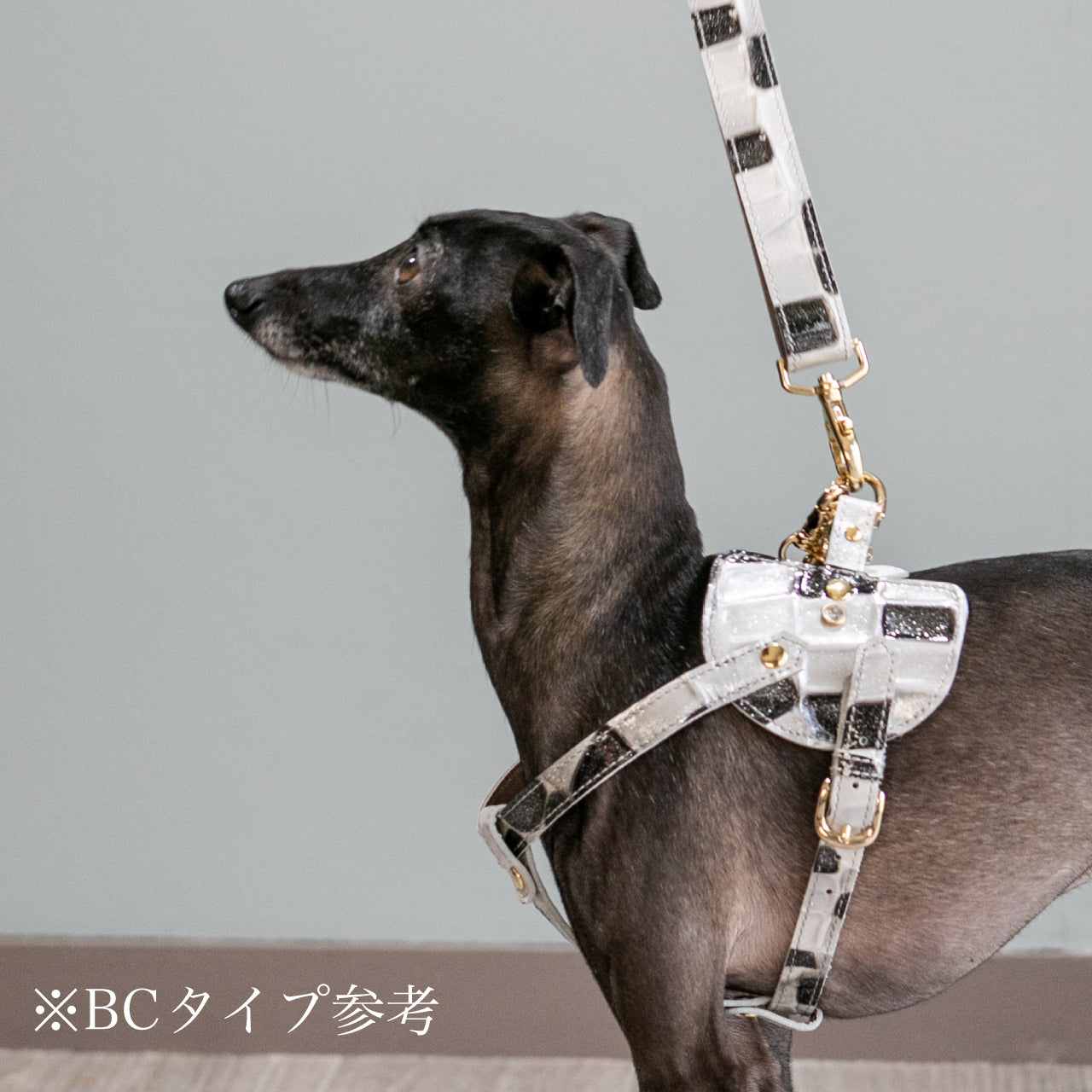 リード Aタイプ 2022限定モデル タイル
