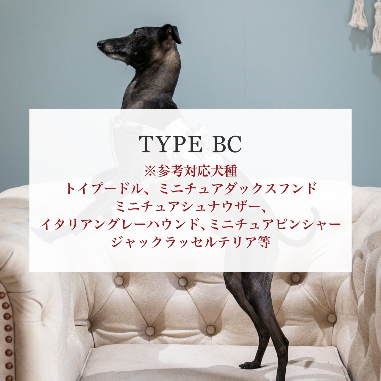 リード BCDタイプ 2022限定モデル タイル