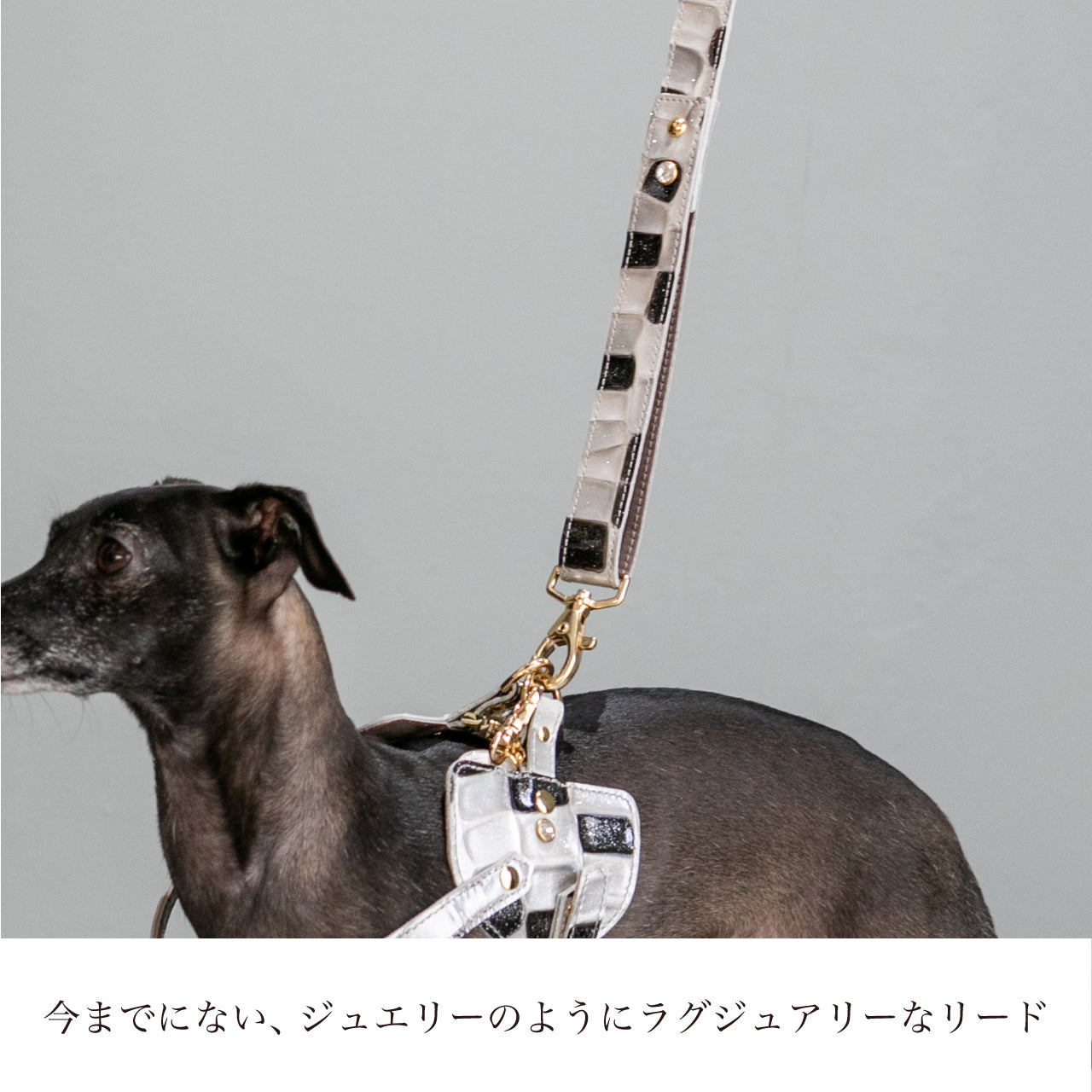 リード BCDタイプ 2022限定モデル タイル