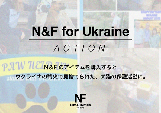 【ウクライナ犬猫支援】N&F for petsを購入すると、ウクライナの犬猫保護活動に寄付する連携事業を開始。