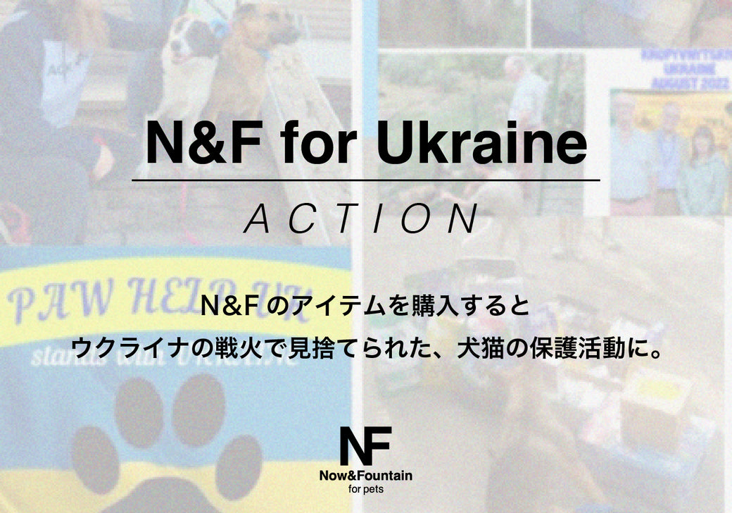 【ウクライナ犬猫支援】[N&F for pets]を購入すると、ウクライナの犬猫保護活動に寄付する連携事業を開始。