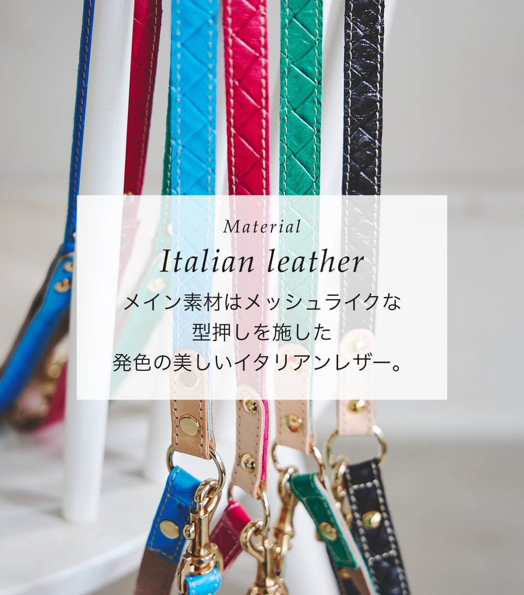 【予約：6月中旬発送】リード アテネ