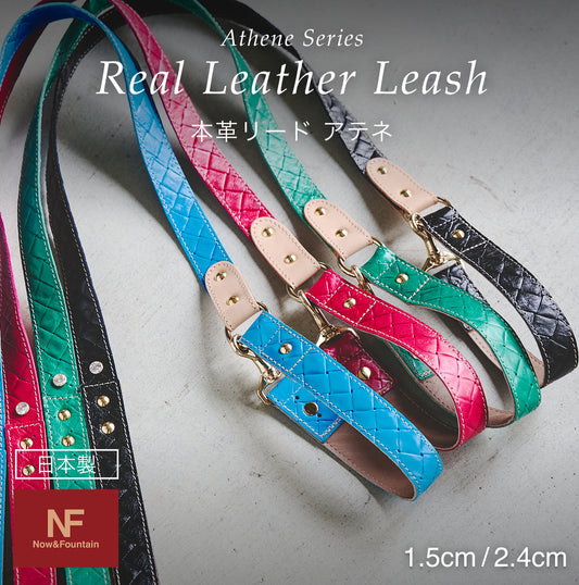 【予約：4月末頃発送】リード アテネ