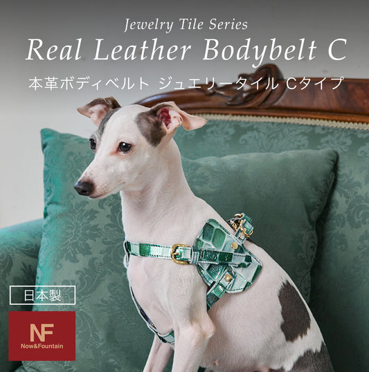 【予約：6月中旬発送】ボディベルト Cタイプ ジュエリータイル 2026限定グリーン