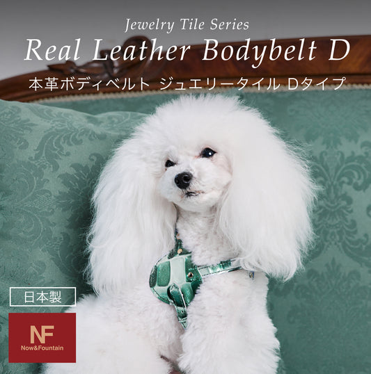 【予約：6月中旬発送】ボディベルト Dタイプ ジュエリータイル 2026限定グリーン