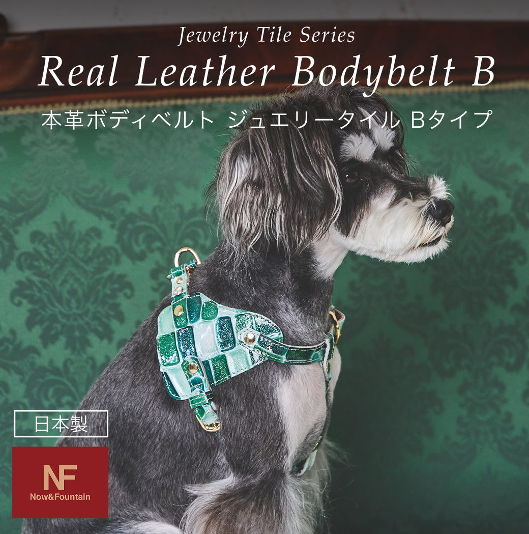 【予約：6月中旬発送】ボディベルト Bタイプ ジュエリータイル 2026限定グリーン