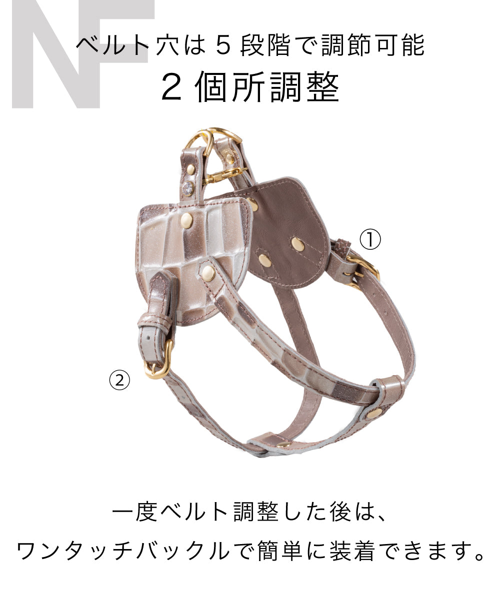 ボディベルト Cタイプ  2024限定モデル ジュエリータイル BCT001-24latte