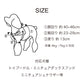 【予約販売 5月下旬発送】ボディベルト Bタイプ ジュエリータイル 2025限定ブルー