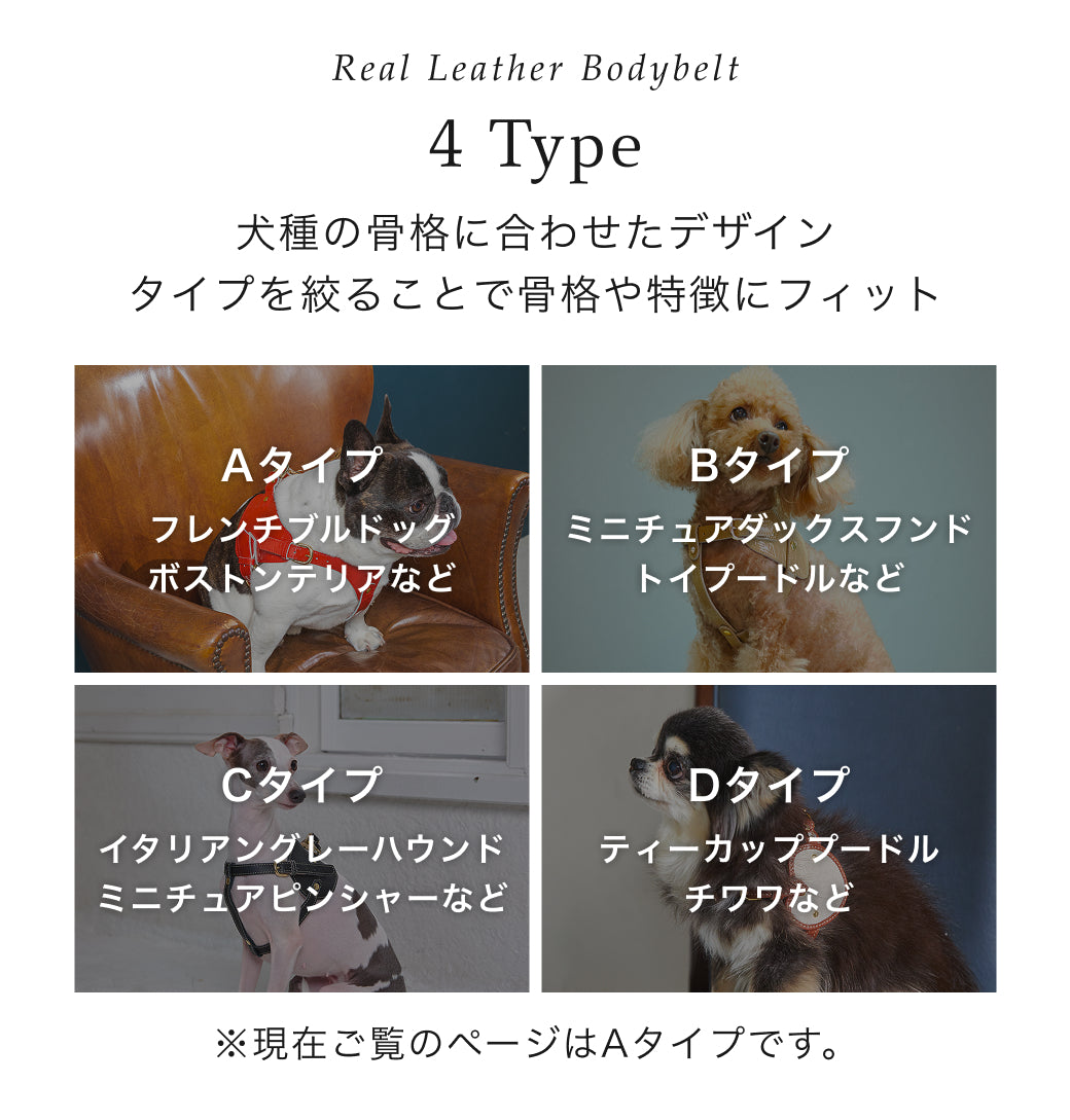 【予約：6月中旬発送】ボディベルト Aタイプ ジュエリータイル 2026限定グリーン