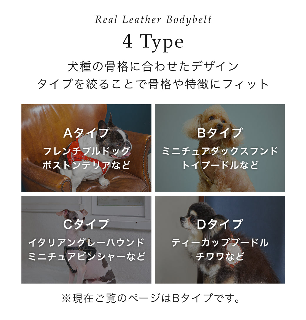 【予約：6月中旬発送】ボディベルト Bタイプ ジュエリータイル 2026限定グリーン