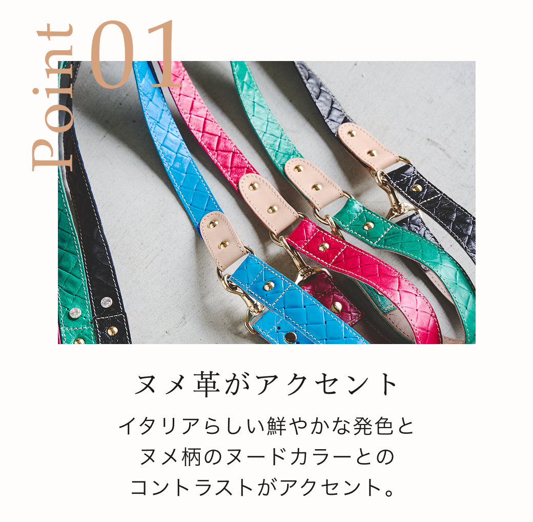 【予約：6月中旬発送】リード アテネ
