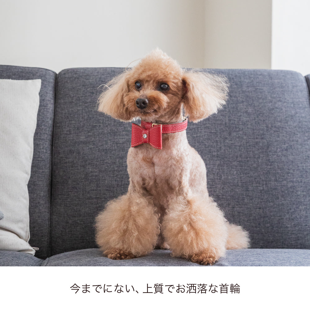 ナベ犬 首輪 ふたば 販売