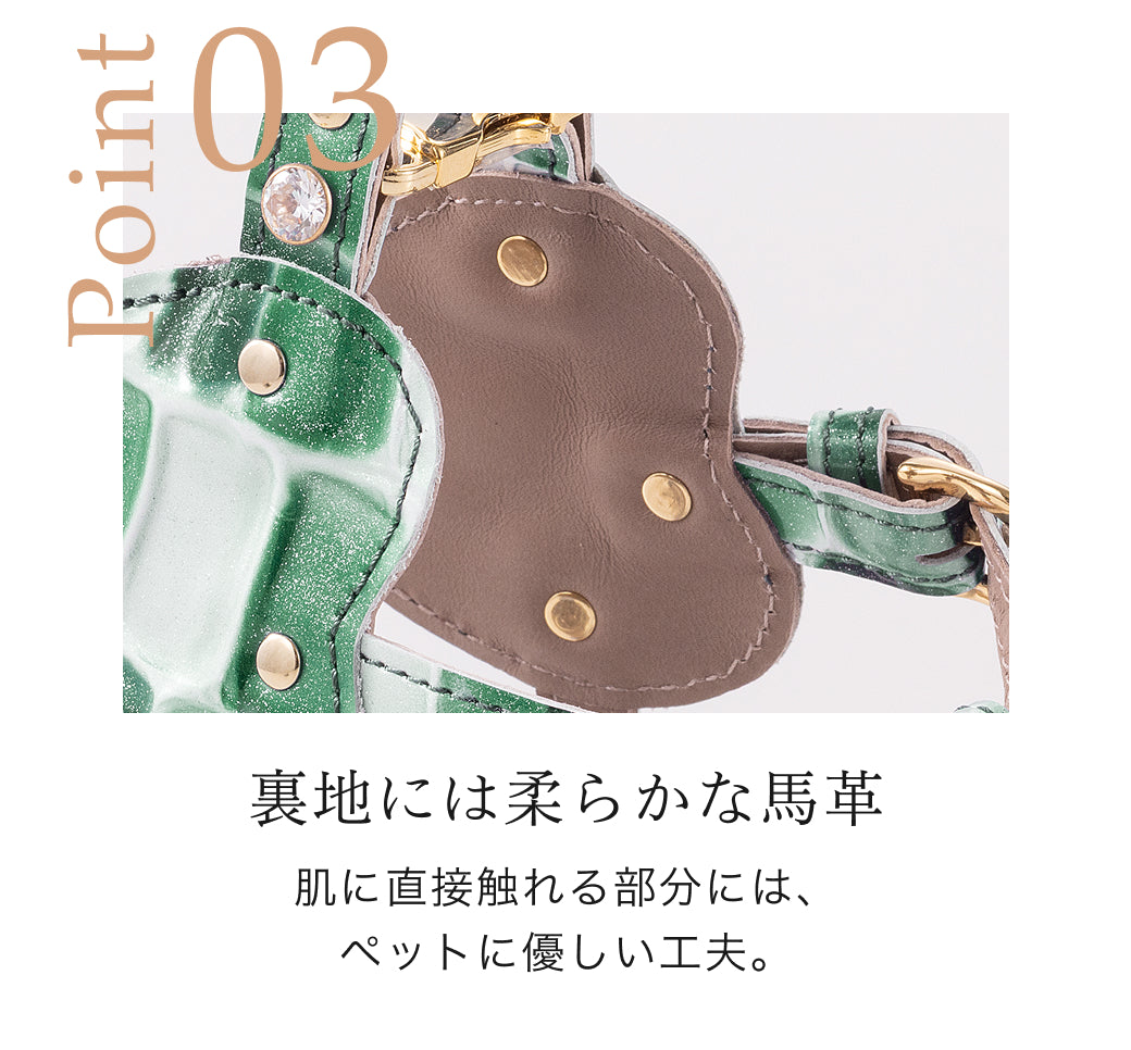 【予約：7月末頃発送】ボディベルト Dタイプ ジュエリータイル 2026限定グリーン