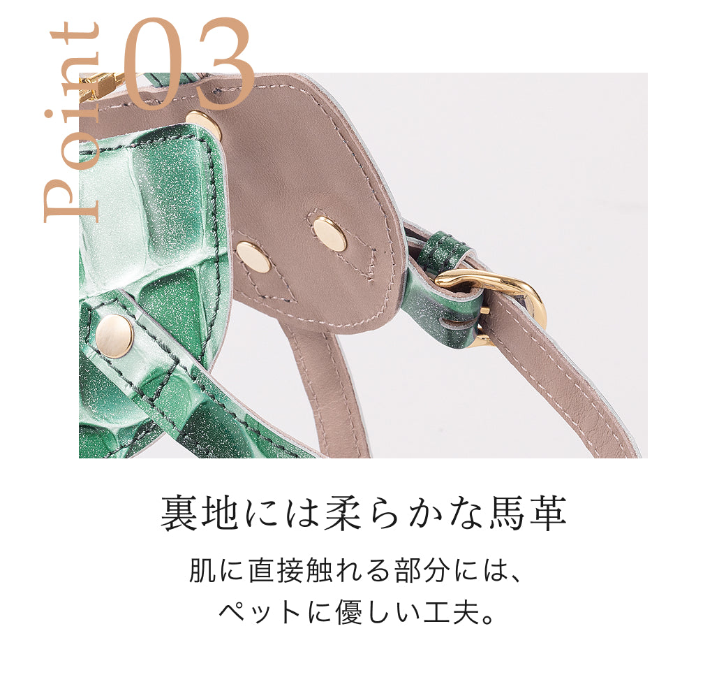 【予約：7月末頃発送】ボディベルト Cタイプ ジュエリータイル 2026限定グリーン