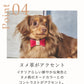 【予約：6月中旬発送】首輪 アテネ