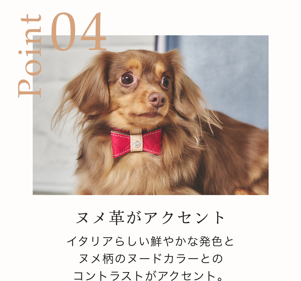 【予約：6月中旬発送】首輪 アテネ