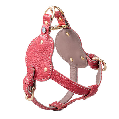 ボディベルト Dタイプ ナチュラルスキン