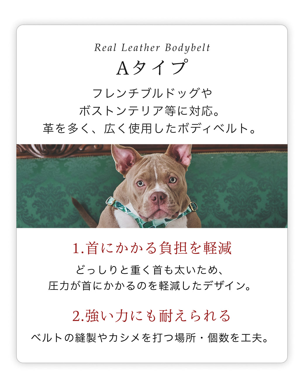 【予約：6月中旬発送】ボディベルト Aタイプ ジュエリータイル 2026限定グリーン