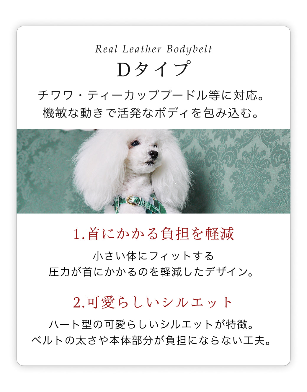 【予約：7月末頃発送】ボディベルト Dタイプ ジュエリータイル 2026限定グリーン