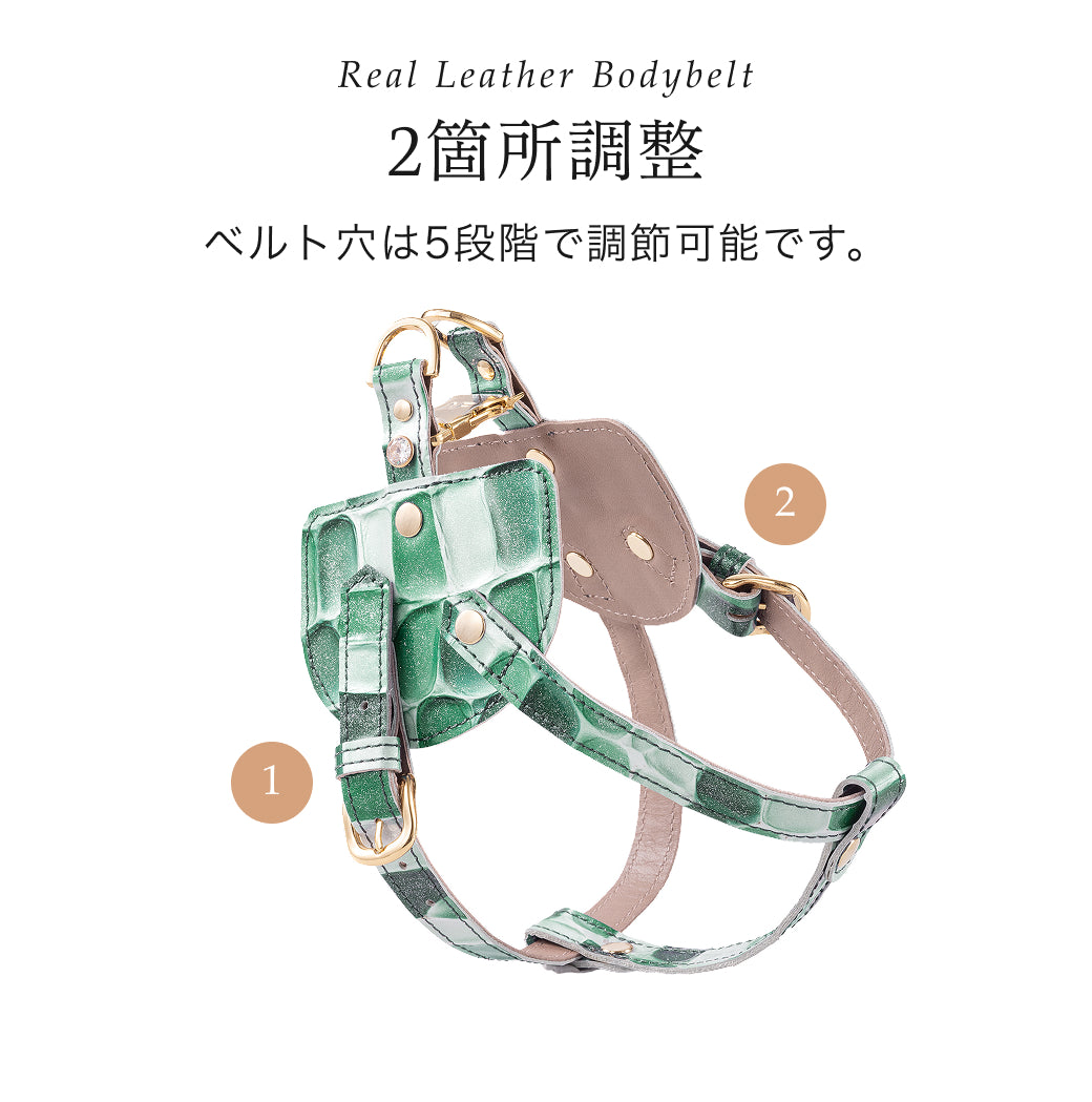 【予約：7月末頃発送】ボディベルト Cタイプ ジュエリータイル 2026限定グリーン