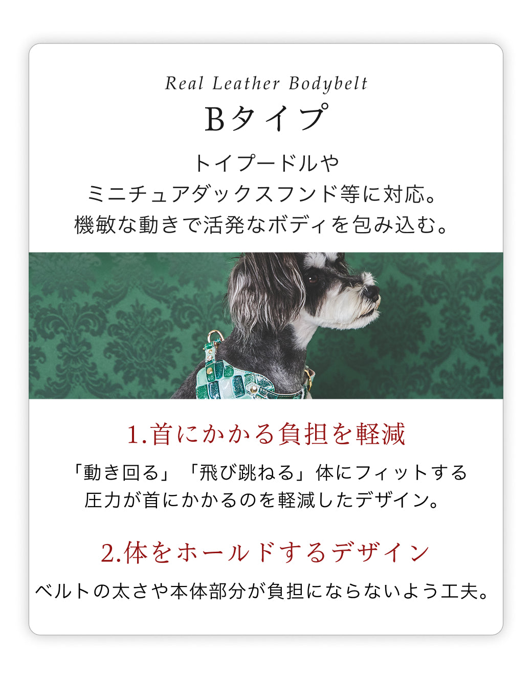【予約：6月中旬発送】ボディベルト Bタイプ ジュエリータイル 2026限定グリーン