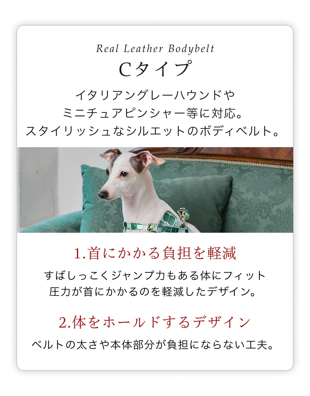 【予約：7月末頃発送】ボディベルト Cタイプ ジュエリータイル 2026限定グリーン
