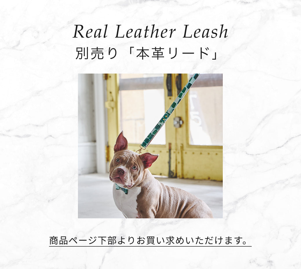 【予約：7月末頃発送】首輪 ジュエリータイル 2026限定グリーン