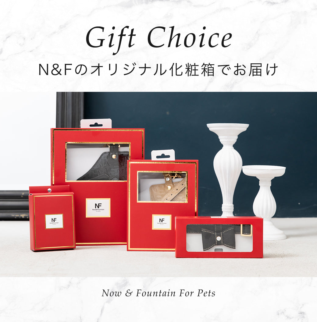 【予約：6月中旬発送】リード アテネ