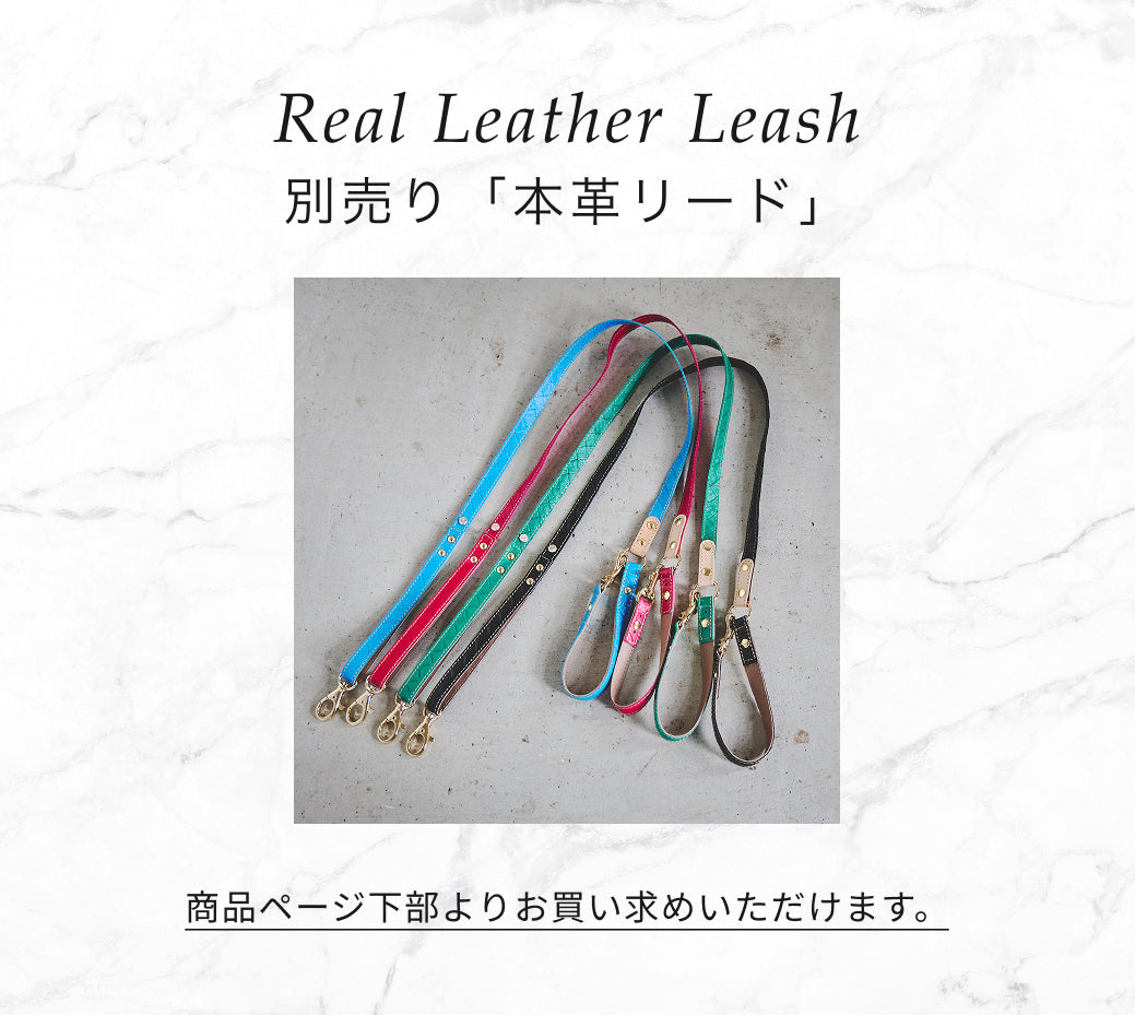【予約：6月中旬発送】首輪 アテネ