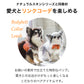 【予約商品 7月上旬発送】Paolo ウォレット機能付き本革スマホショルダー ナチュラルスキン BAGSDP001