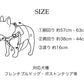 【予約：6月中旬発送】ボディベルト Aタイプ ジュエリータイル 2026限定グリーン