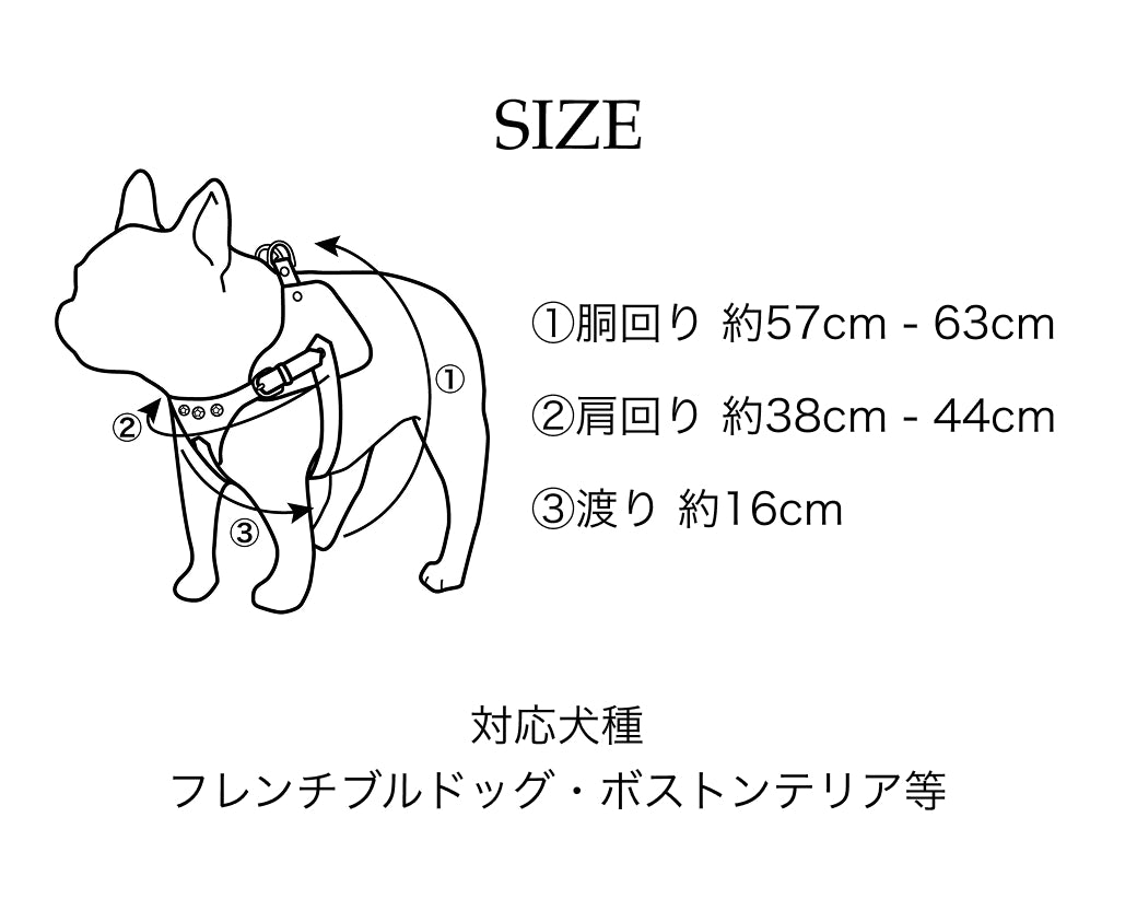 【予約：6月中旬発送】ボディベルト Aタイプ ジュエリータイル 2026限定グリーン