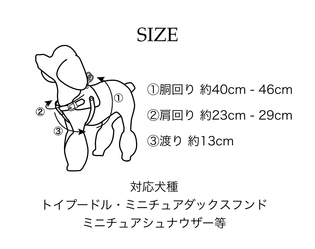 【予約：6月中旬発送】ボディベルト Bタイプ ジュエリータイル 2026限定グリーン