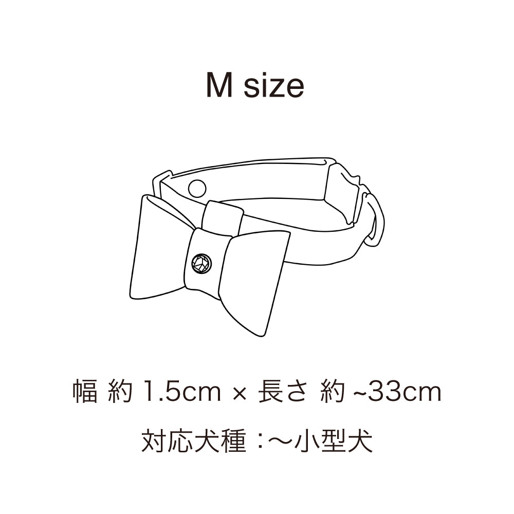 首輪 Mサイズ 2024限定モデル ジュエリータイル CML001-24latte