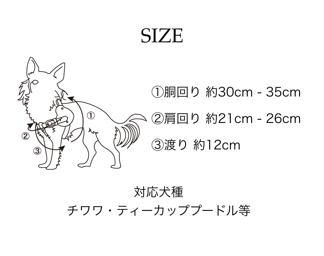 【予約：7月末頃発送】ボディベルト Dタイプ ジュエリータイル 2026限定グリーン