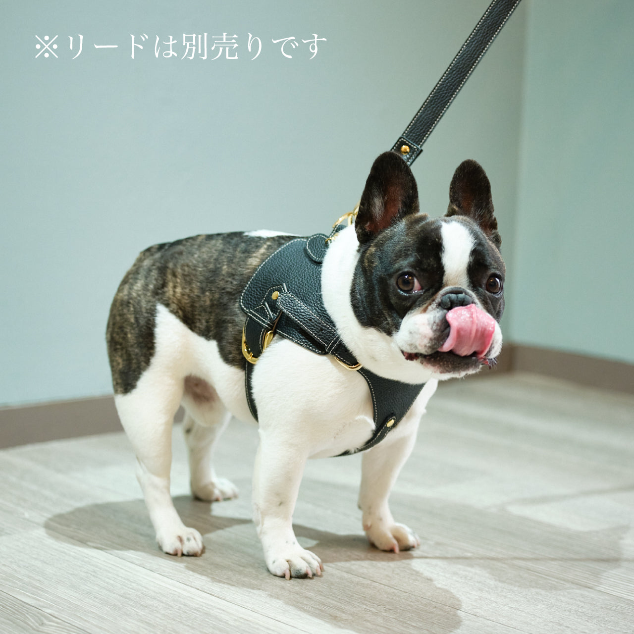 ボディ ベルト ストア 犬