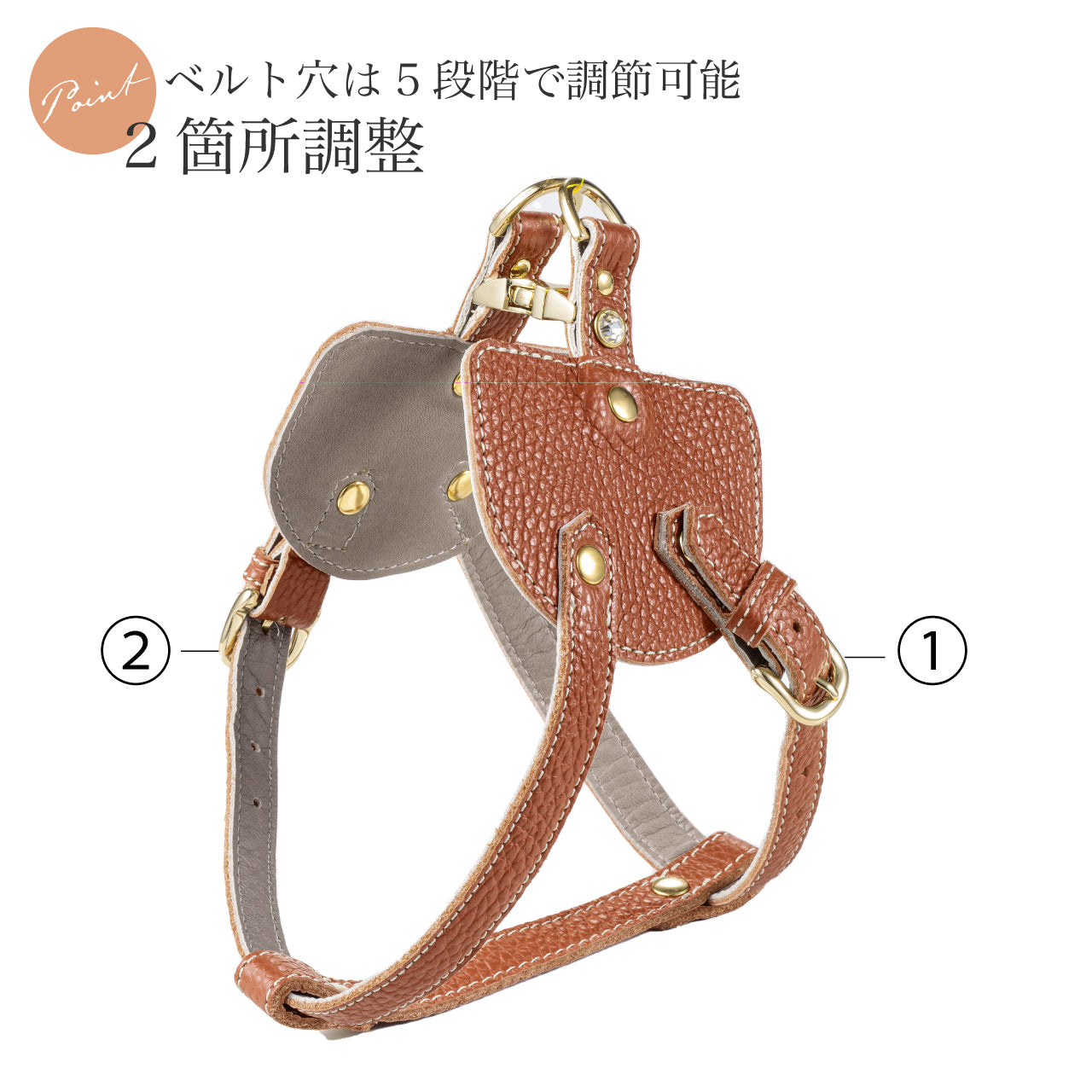 ボディベルト Cタイプ ナチュラルスキン